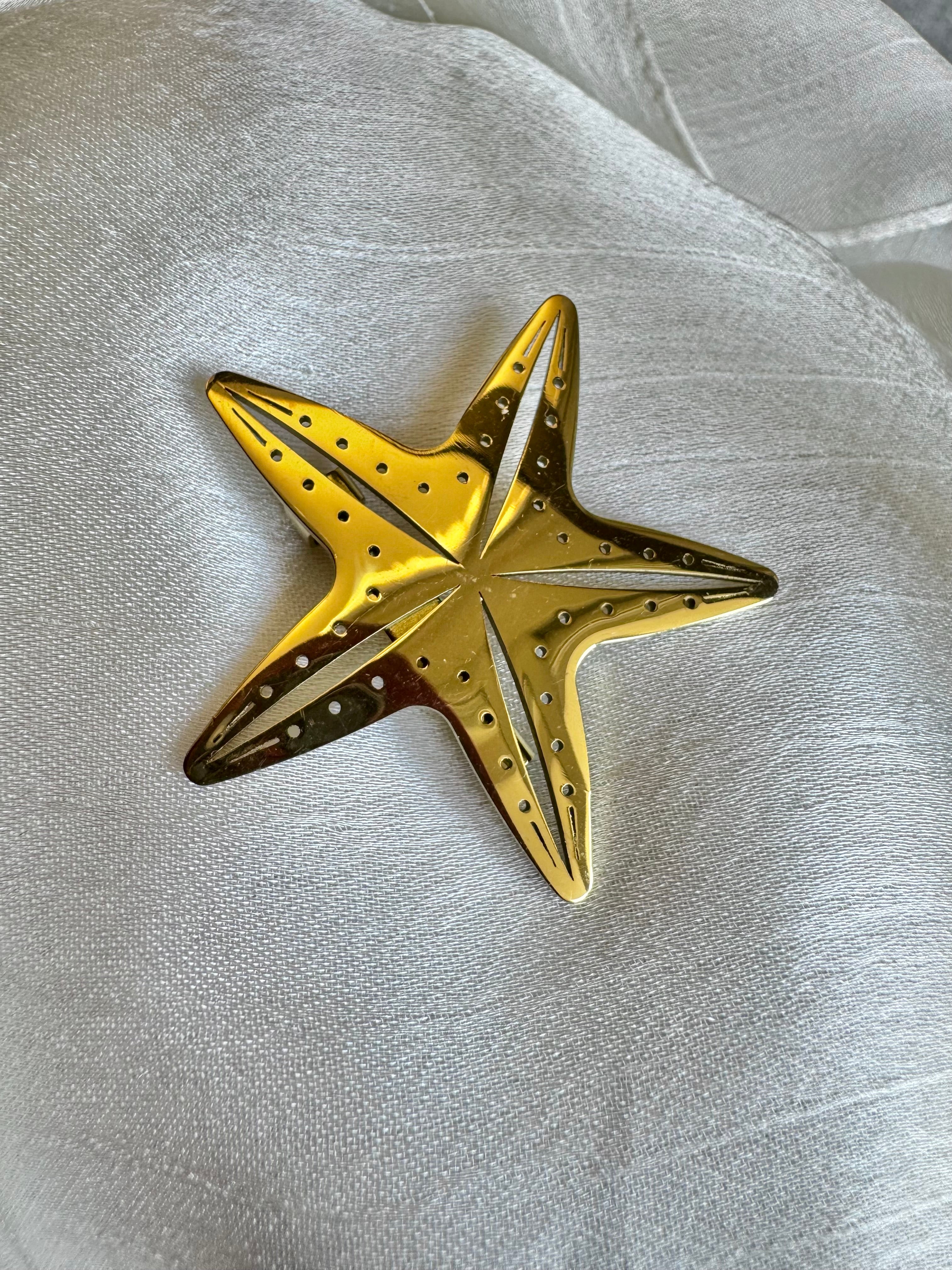 Sea star brooch