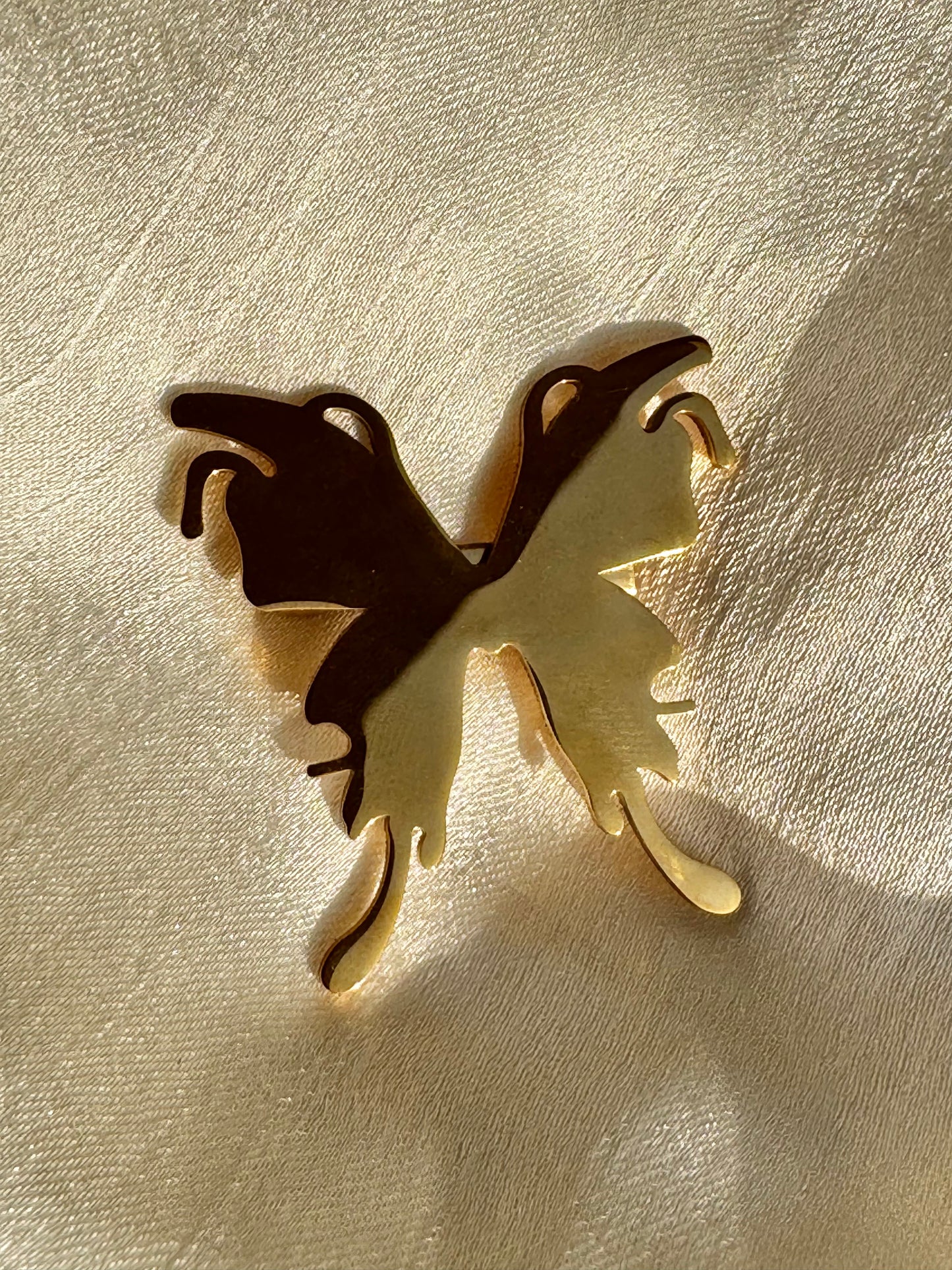 The Butterfly Mirage